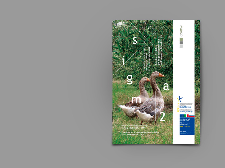 SIGMA2環(huán)境與生物多樣性環(huán)保宣傳冊設(shè)計-上海畫冊設(shè)計公司-尚略廣告