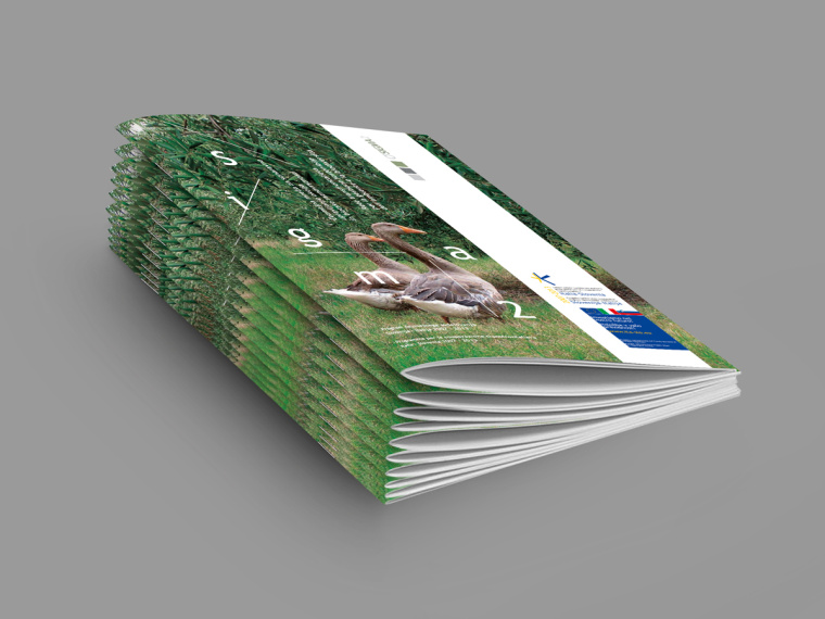 SIGMA2環(huán)境與生物多樣性環(huán)保宣傳冊設(shè)計-上海畫冊設(shè)計公司-尚略廣告
