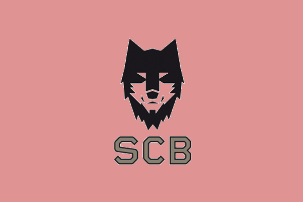 體育娛樂部logo設計-上海logo設計公司靈感