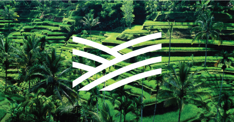 Noch 有機農場logo設計vi設計-上海農業(yè)品牌設計公司