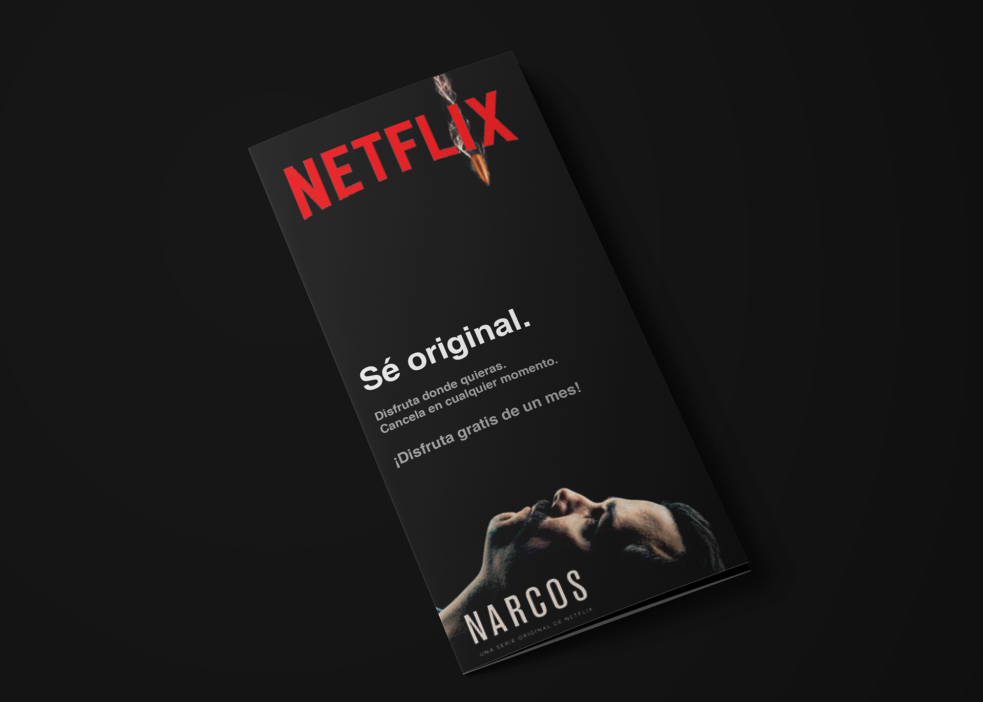 在線影片租賃提供商NETFLIX宣傳手冊設計“黑紅配色”