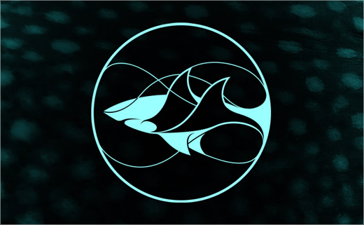 LDF鯊魚動(dòng)物保護(hù)基金會(huì)標(biāo)志設(shè)計(jì)