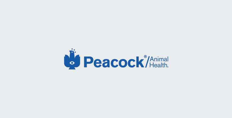 Peacock獸醫(yī)藥物品牌形象VI設(shè)計(jì)logo設(shè)計(jì)，孔雀的矢量化圖案