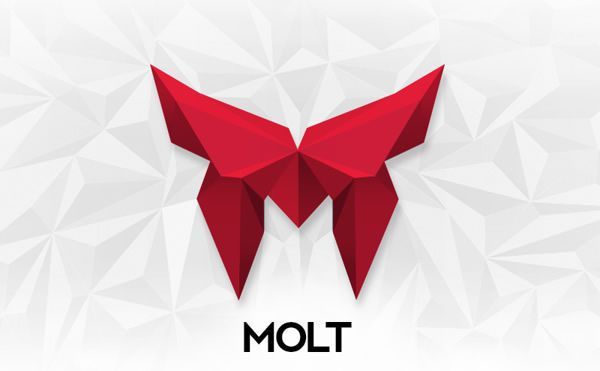 MOLT蛻變企業(yè)VI形象設(shè)計-標識logo設(shè)計