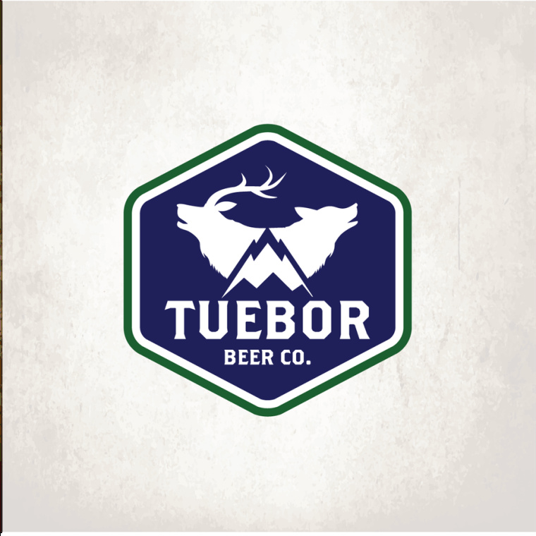 Tuebor標(biāo)志logo設(shè)計(jì)
