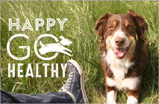 Happy Go Healthy寵物狗保健營(yíng)養(yǎng)補(bǔ)充劑品牌策劃（品牌命名、logo設(shè)計(jì)，包裝設(shè)計(jì)）