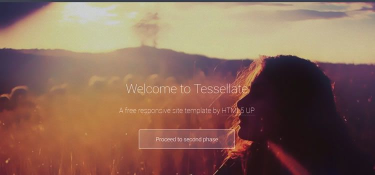 Tessellate css響應(yīng)式HTML模板網(wǎng)頁設(shè)計(jì)免費(fèi)