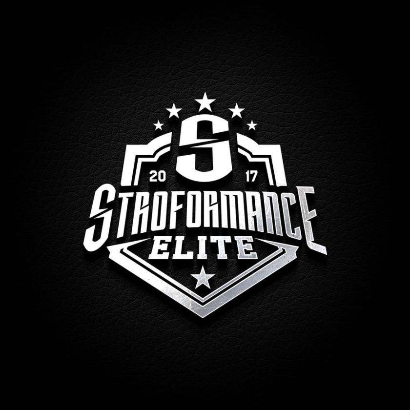 黃金和銀logo設(shè)計-Stroformance Elite的標志logo設(shè)計