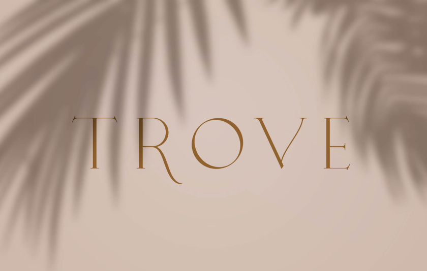 Trove 家具品牌logo設(shè)計(jì)-字體設(shè)計(jì)