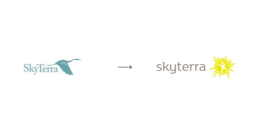 SKYTERRA健康減肥養(yǎng)生中心品牌形象重塑-logo設(shè)計(jì)，活力射線+人體元素
