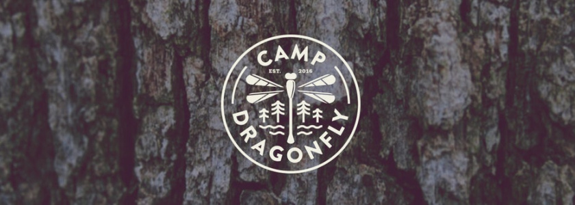 營地旅游logo標志設計與蜻蜓
