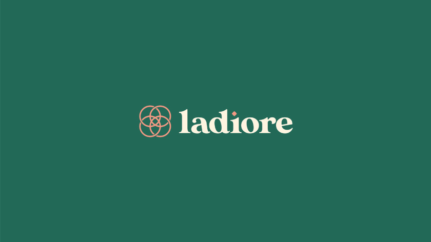 ladiore 女性時(shí)尚品牌logo設(shè)計(jì)與視覺識別vi設(shè)計(jì)，源自四個(gè)象征