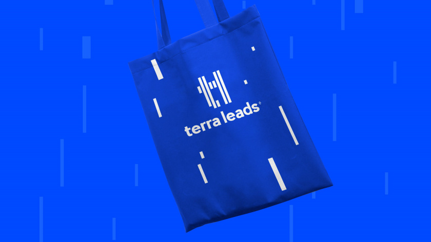 Terra Leads 注冊會計(jì)師互聯(lián)網(wǎng)平臺網(wǎng)站品牌形象logo設(shè)計(jì)vi設(shè)計(jì)-禮品袋子,變化的垂直線條 Terra Leads 注冊會計(jì)師互聯(lián)網(wǎng)平臺網(wǎng)站品牌形象logo設(shè)計(jì)vi設(shè)計(jì)-禮品袋子,變化的垂直線條