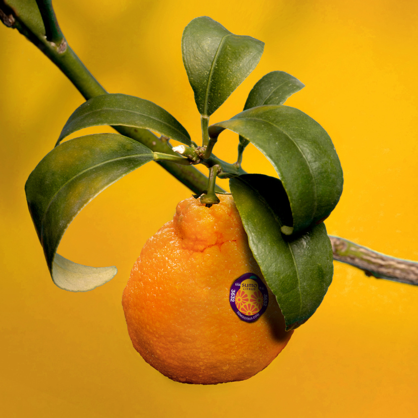 Sumo Citrus 橘子包裝箱設(shè)計靈感來自水果的獨特形狀和日式圖案