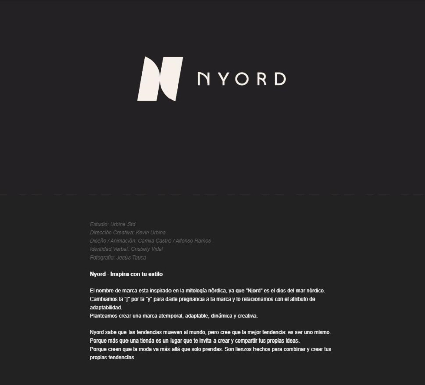 Nyord 服飾品牌識(shí)別設(shè)計(jì)-logo與vi設(shè)計(jì),獨(dú)特的字母N設(shè)計(jì)及組合圖案