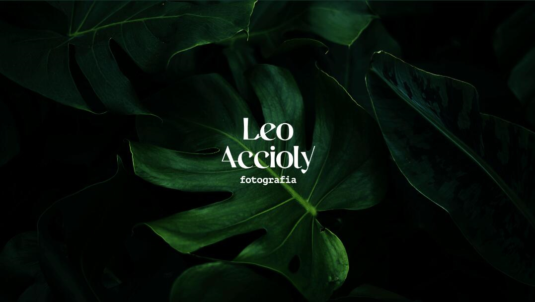 Leo Accioly 高質(zhì)量攝影公司品牌識(shí)別設(shè)計(jì)