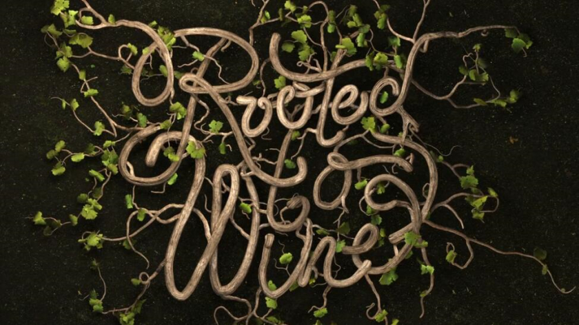 Roots 烏克蘭進(jìn)口葡萄酒公司vi設(shè)計(jì),梯田線(xiàn)條元素 Roots 烏克蘭進(jìn)口葡萄酒公司vi設(shè)計(jì),梯田線(xiàn)條元素