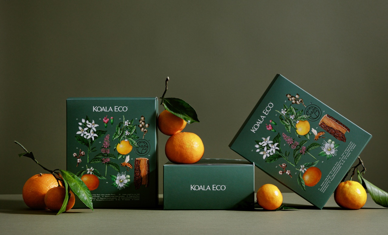 koala 植物精油綠色禮盒包裝設(shè)計(jì),自然精致的植物花卉昆蟲(chóng)插畫(huà) koala 植物精油綠色禮盒包裝設(shè)計(jì),自然精致的植物花卉昆蟲(chóng)插畫(huà)