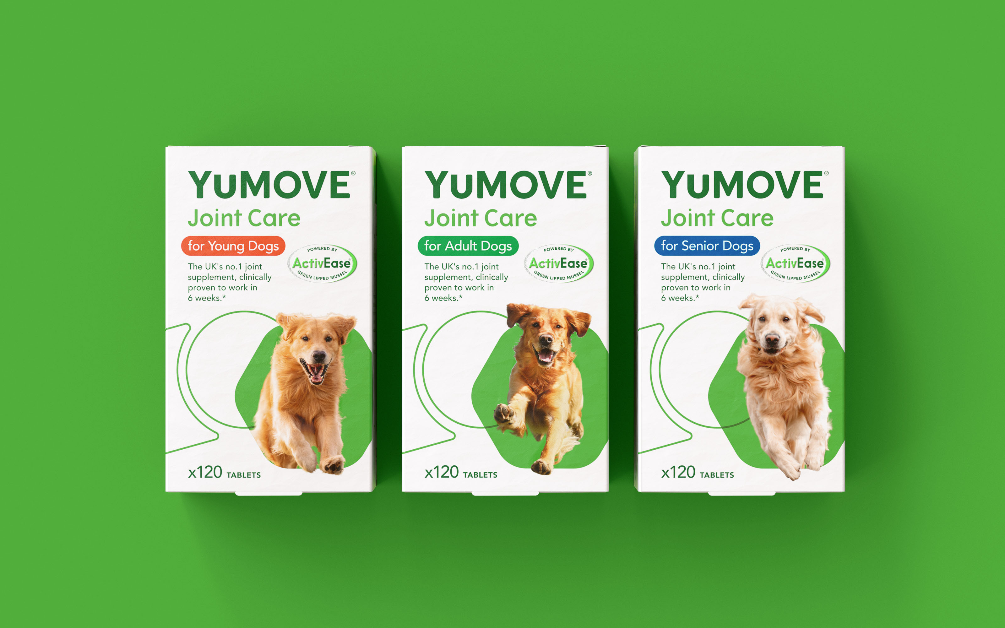 YuMOVE寵物護(hù)理品牌戰(zhàn)略策劃與系列產(chǎn)品包裝形象更新設(shè)計‘色塊+線條“
