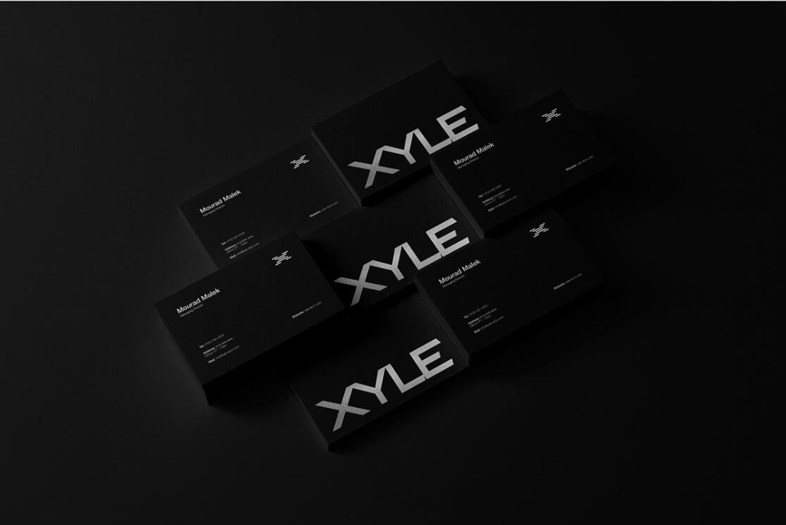 Xyle建筑設(shè)計公司logo設(shè)計品牌形象vis設(shè)計，x磚塊logo與超酷黑白漸變vi風(fēng)