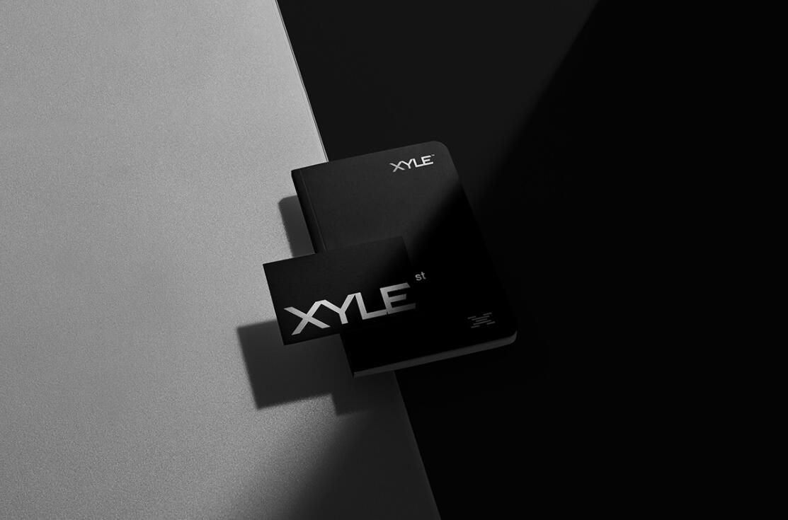 Xyle建筑設(shè)計公司logo設(shè)計品牌形象vis設(shè)計，x磚塊logo與超酷黑白漸變vi風(fēng)