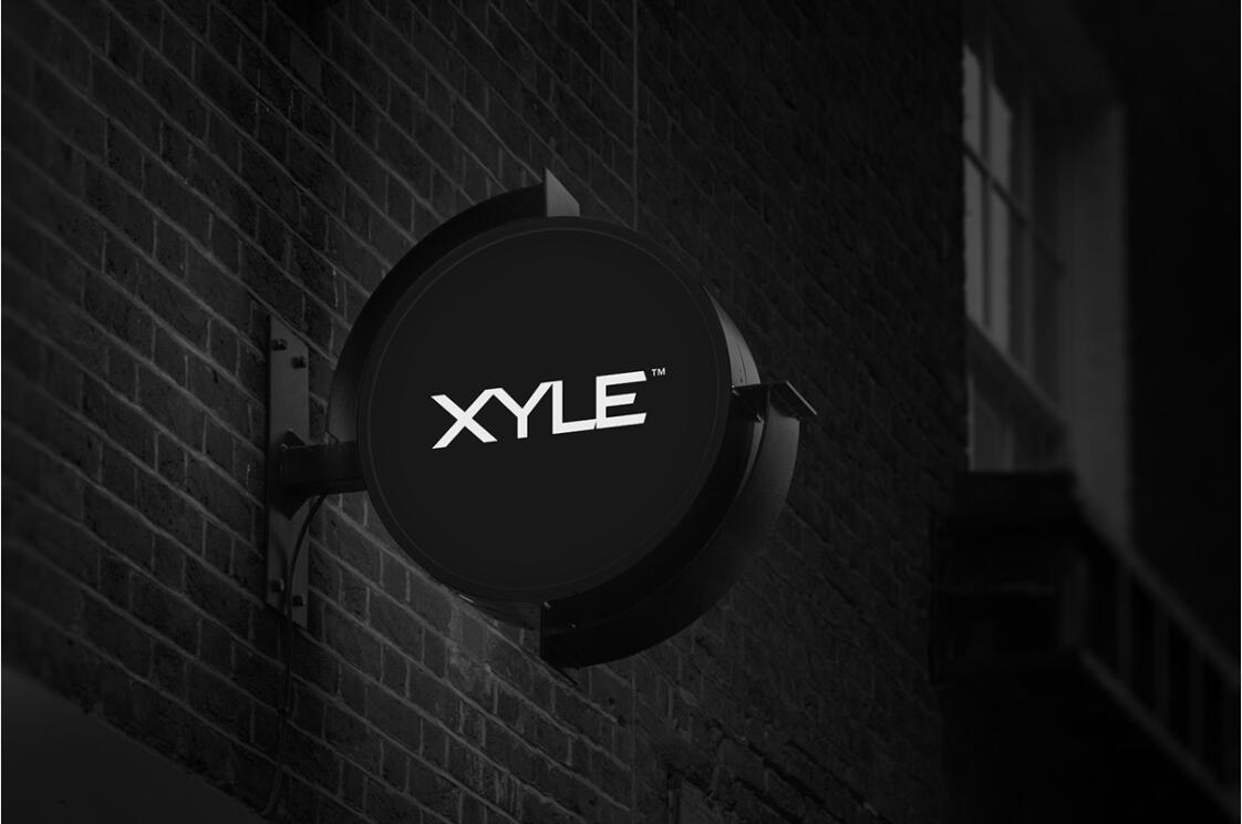Xyle建筑設(shè)計公司logo設(shè)計品牌形象vis設(shè)計，x磚塊logo與超酷黑白漸變vi風(fēng)