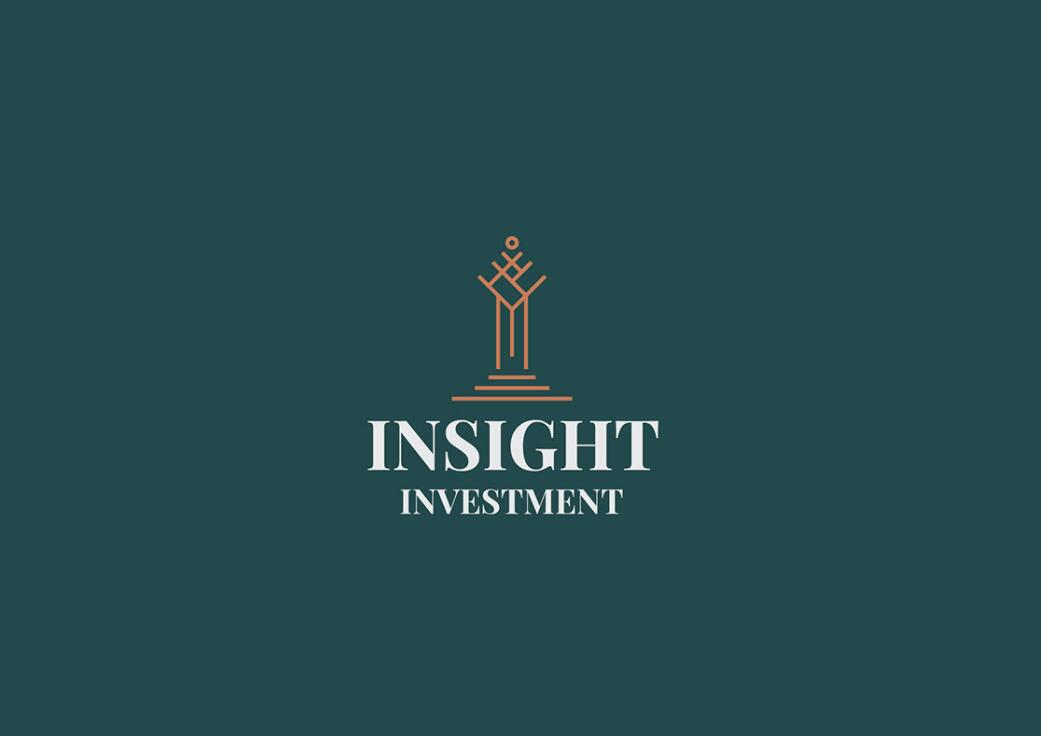 Insight 金融投資公司logo設(shè)計vis設(shè)計，基石與增長線條元素
