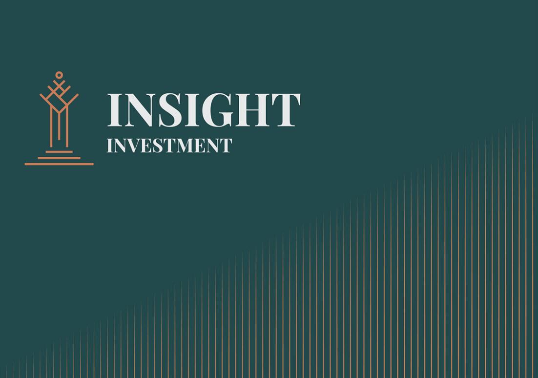 Insight 金融投資公司logo設(shè)計vis設(shè)計，基石與增長線條元素