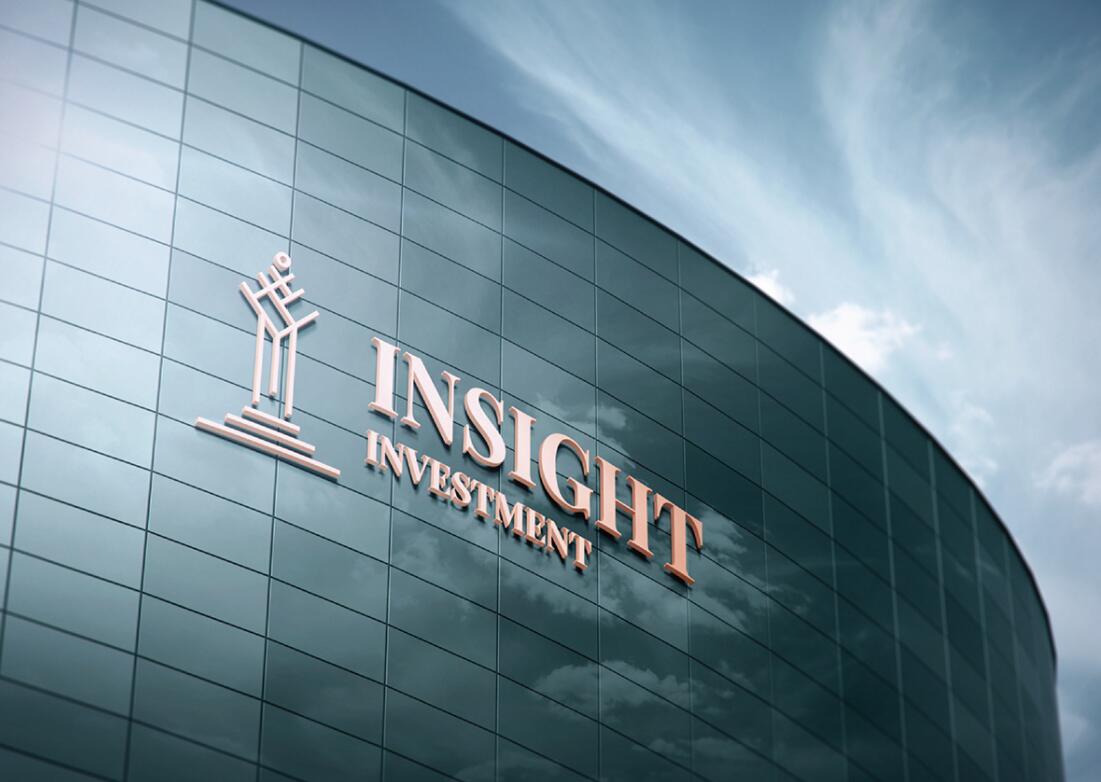 Insight 金融投資公司logo設(shè)計vis設(shè)計，基石與增長線條元素