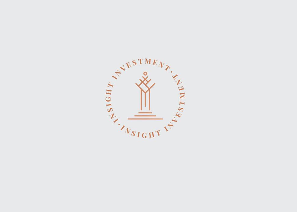 Insight 金融投資公司logo設(shè)計vis設(shè)計，基石與增長線條元素