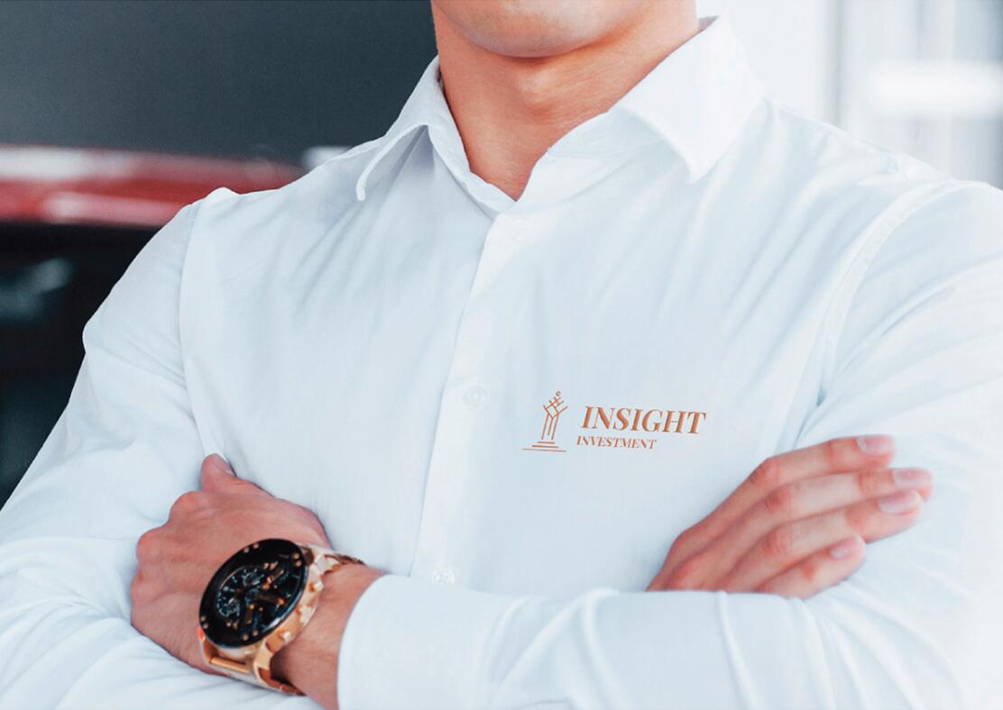 Insight 金融投資公司logo設(shè)計vis設(shè)計，基石與增長線條元素