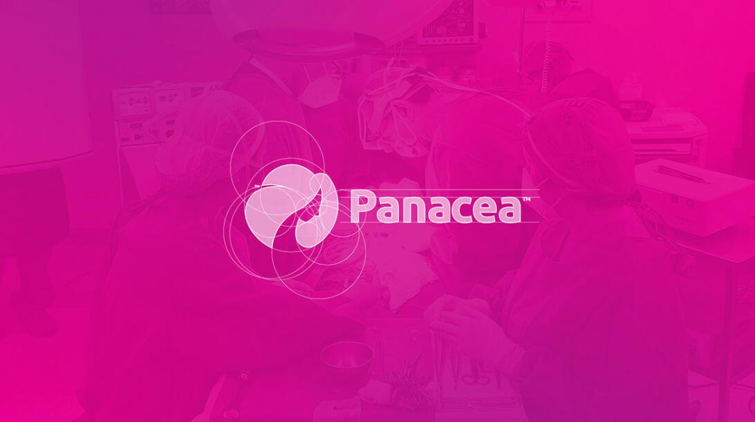 Panacea 女性體型矯正健康美容整理護(hù)理醫(yī)院logo設(shè)計(jì),女神輪廓圖形 Panacea 女性體型矯正健康美容整理護(hù)理醫(yī)院logo設(shè)計(jì),女神輪廓圖形