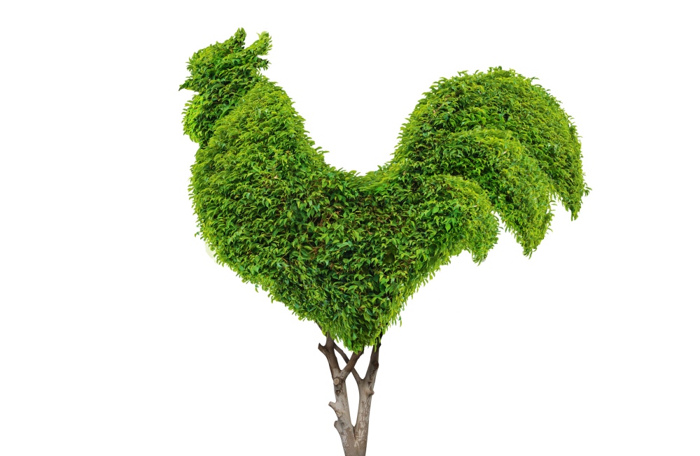 Greenwise 高植物蛋白素食肉食品包裝設(shè)計(jì)，植物建模動(dòng)物圖案