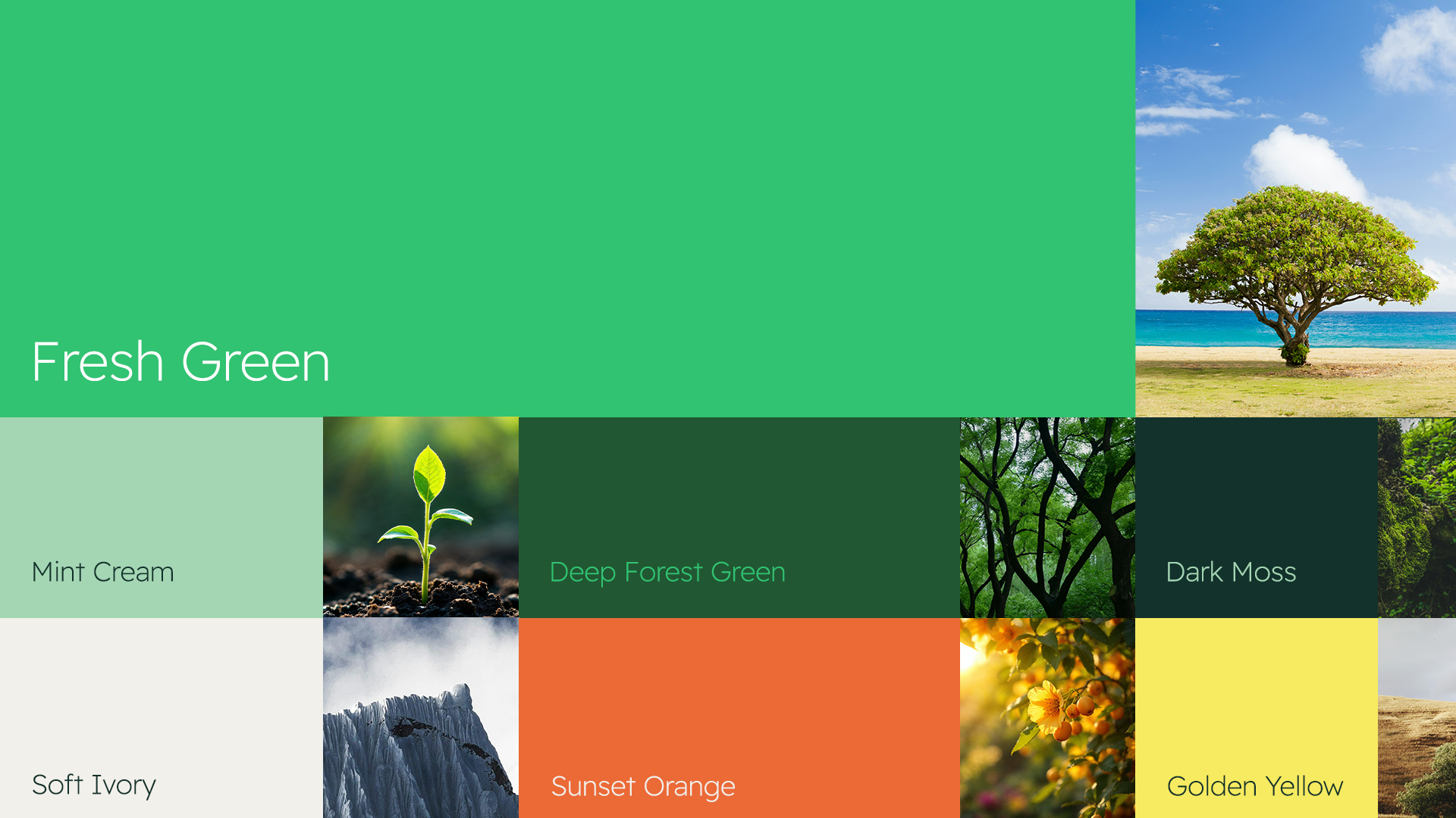Greenists農(nóng)業(yè)教育學(xué)院綠色G字母logo設(shè)計(jì)vi視覺形象設(shè)計(jì) Greenists農(nóng)業(yè)教育學(xué)院綠色G字母logo設(shè)計(jì)vi視覺形象設(shè)計(jì)