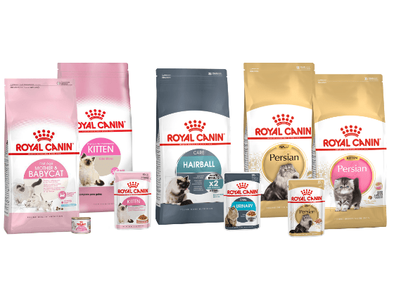Royal Canin皇家犬業(yè):針對每種醫(yī)療狀況的產品 Royal Canin皇家犬業(yè):針對每種醫(yī)療狀況的產品
