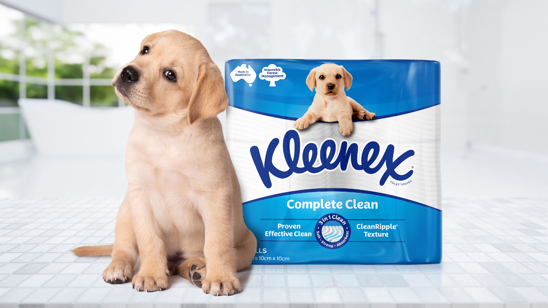 Kleenex 衛(wèi)生紙包裝設(shè)計(jì)拉布拉多小狗元素 Kleenex 衛(wèi)生紙包裝設(shè)計(jì)拉布拉多小狗元素