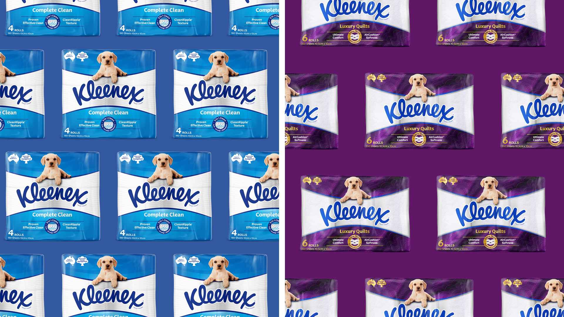 Kleenex 衛(wèi)生紙包裝設(shè)計(jì)拉布拉多小狗元素 Kleenex 衛(wèi)生紙包裝設(shè)計(jì)拉布拉多小狗元素