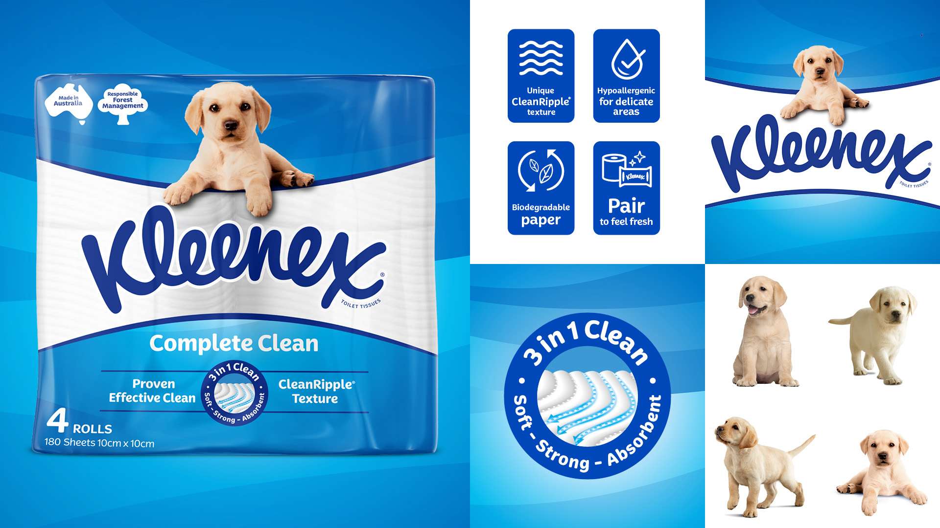 Kleenex 衛(wèi)生紙包裝設(shè)計(jì)拉布拉多小狗元素 Kleenex 衛(wèi)生紙包裝設(shè)計(jì)拉布拉多小狗元素