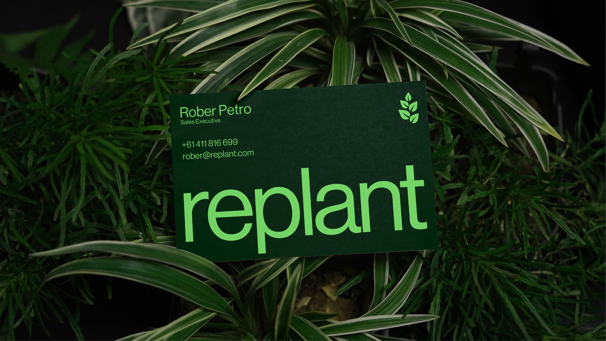 Replant 有機(jī)再生農(nóng)業(yè)技術(shù)品牌形象logo設(shè)計(jì)vi設(shè)計(jì)“自然葉子” Replant 有機(jī)再生農(nóng)業(yè)技術(shù)品牌形象logo設(shè)計(jì)vi設(shè)計(jì)“自然葉子”