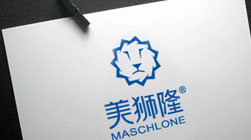 美獅隆門窗建材品牌標(biāo)志設(shè)計(jì)VI設(shè)計(jì)