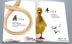 實則硬小微企業(yè)金融服務企業(yè)宣傳畫冊設計-上海宣傳冊設計公司