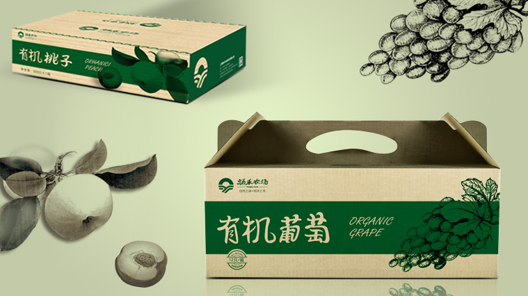 16涌禾農(nóng)場農(nóng)產(chǎn)品包裝設(shè)計-有機水果包裝設(shè)計-上海品牌全案策劃設(shè)計公司