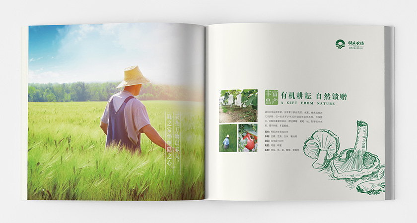 涌禾農(nóng)場企業(yè)宣傳畫冊策劃設(shè)計(jì)-上海畫冊設(shè)計(jì)公司 涌禾農(nóng)場企業(yè)宣傳畫冊策劃設(shè)計(jì)-上海畫冊設(shè)計(jì)公司