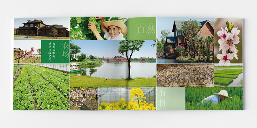 涌禾農(nóng)場宣傳畫冊策劃設(shè)計