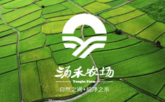 涌禾農(nóng)場(chǎng)農(nóng)業(yè)品牌商標(biāo)LOGO設(shè)計(jì)品牌VI視覺形象設(shè)計(jì)