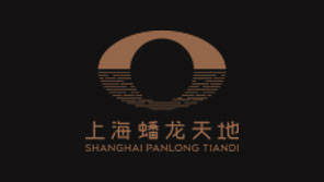 上海蟠龍?zhí)斓鼗A(chǔ)要素視覺(jué)系統(tǒng)