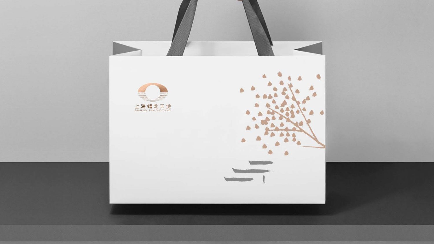 上海蟠龍?zhí)斓厣虡I(yè)地產(chǎn)項(xiàng)目品牌vi基礎(chǔ)要素視覺(jué)系統(tǒng)設(shè)計(jì)