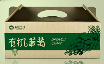 涌禾農(nóng)場有機大米蔬菜雞蛋水果腌制品農(nóng)產(chǎn)品包裝設(shè)計