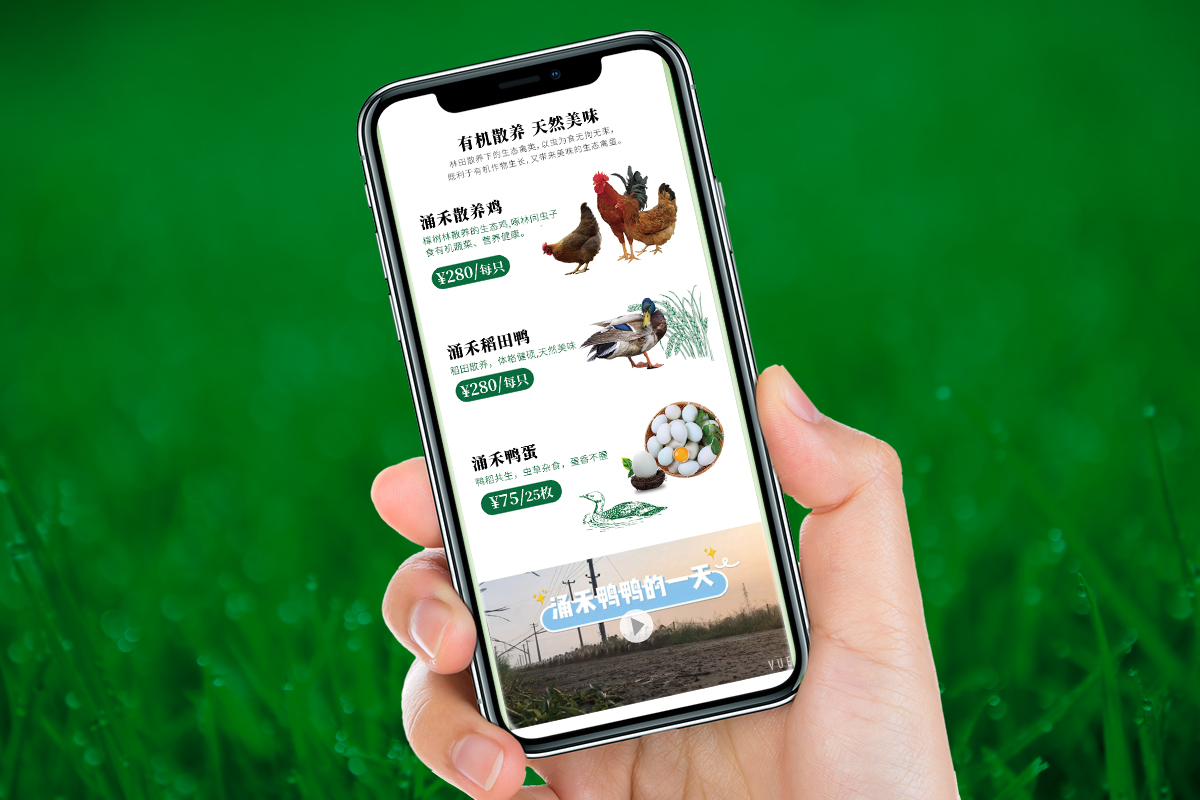 涌禾農(nóng)場農(nóng)產(chǎn)品有贊手機商城策劃設(shè)計