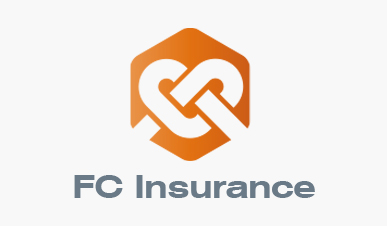FC Insurance 保險(xiǎn)logo設(shè)計(jì)vi設(shè)計(jì)提案